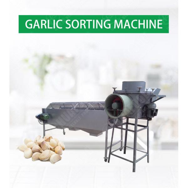 Garlic Sorter 1TPH Automatic Food Processing Machines Garlic Size Sorting