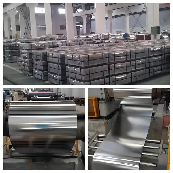 T4 Dr9 Dr8 5.6/2.8 SPCC Tin Coating Tin Plated Steel / Electrolytic Tinplate / ETP For Cans