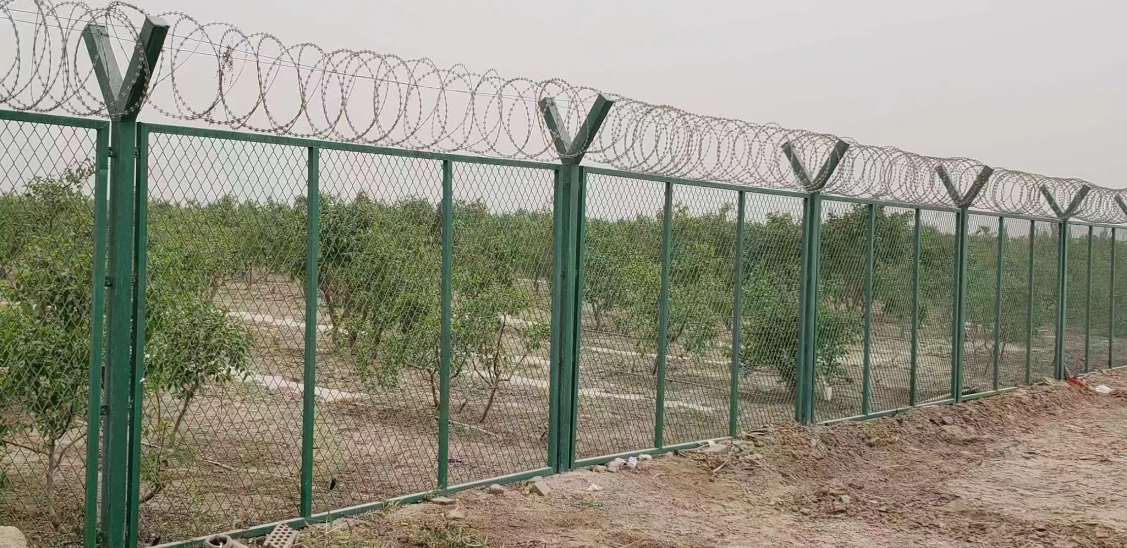 Galvanized Wire Chain Link Fence Plastic Coated Hot Dipped Galvanized Heavy Duty Industry Cyclone Wire Nature Chain Link Fence
