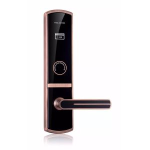 Smart Digital Door Lock For Five Star Hotel
