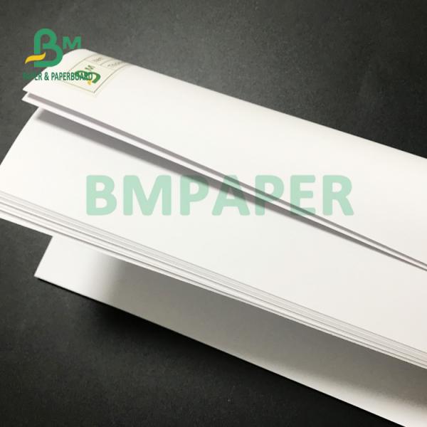 200gsm 230gsm Offset Printing Paper For Brochure 615mm X 912mm 200gsm 230gsm Offset Printing Paper For Brochure 615mm X 912mm