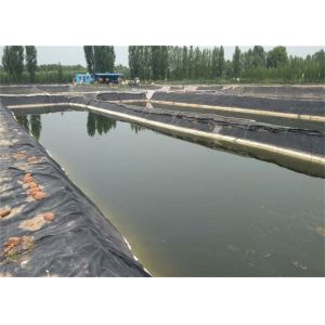 Hdpe Swimming Pool Polyethylene Geomembrane Flexible Small Pond Liner