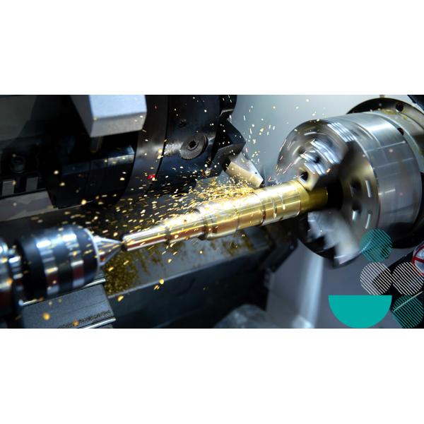 SHF SHG Harmonic Reducer Bearings Special Bearing For Robot