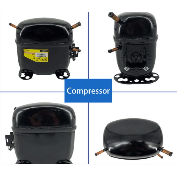 Laboratory Antibiotics Cucumber Vaccines Blood Enzyme Hormones Fruits Food Vacuum Vegetables Lyophilizer Freeze Dryer