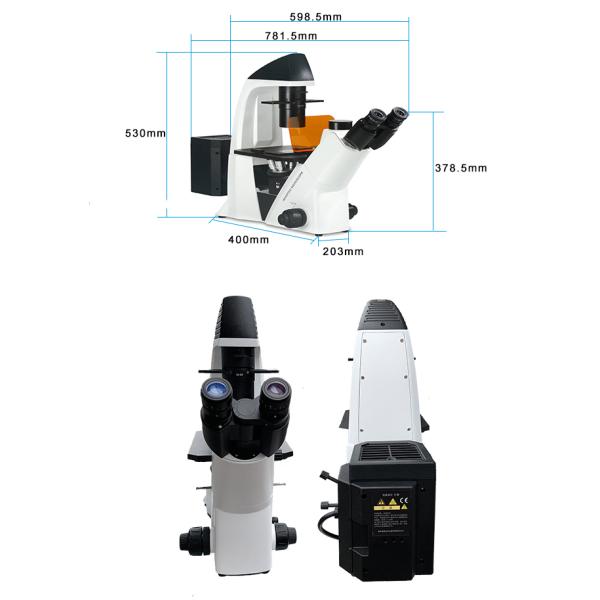 BDS400-FL Inverted Biological Microscope Epifluorescence Illumination