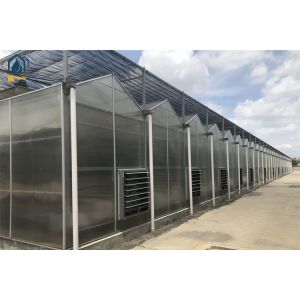Buy cheap Customized Polycarbonate Panel Greenhouse Year Round Vegetable Greenhouse product