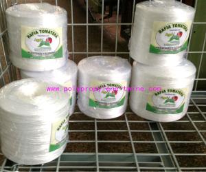 Buy cheap PP Irrigation UV Stabilisation Tomato Tying Garden Twine Water Resistant product