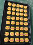 P188 Automatic Food Encrusting Machine 220V Multifunctional Encrusting Machine
