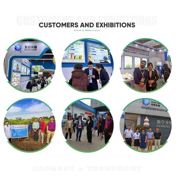 Xylanase Enzyme 20000U/G Used for food and feed processing customized food grade&feed grade