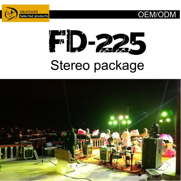 OEM 1000W Karaoke Amplifier Speaker System With Microphone Set