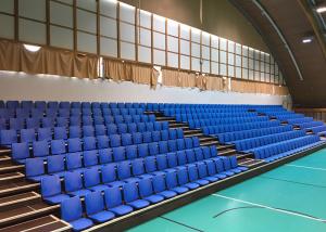 Buy cheap Retractable Stadium Seating Telescopic Bleacher Seat with Folding Back product