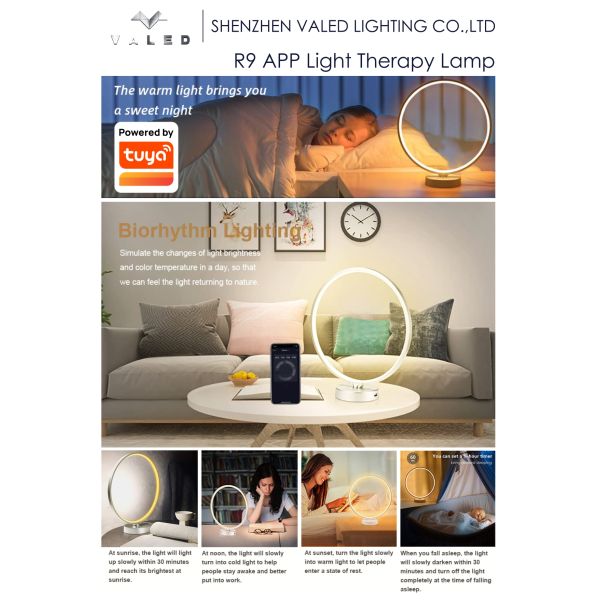 Touch Control 10000 Lux USB Charging Daglicht Lamp LED Table Sun Lamp