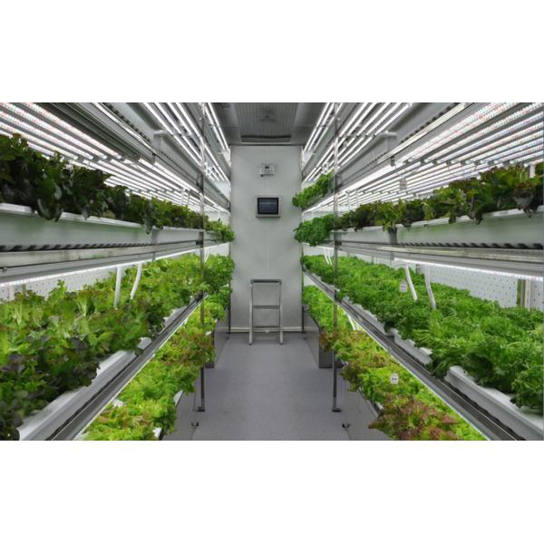 Tingzhou Juxiang Hydroponic Vegetables Machine Fully Automatic Hydroponic Growing System for Sales