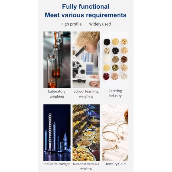 0.1g Accuracy Communication Electronic Mass Balance Digital Lab Balance