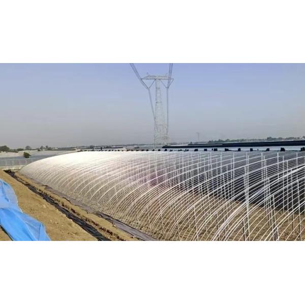 Flower Planting Sparay Irrigation Sunlight Greenhouse