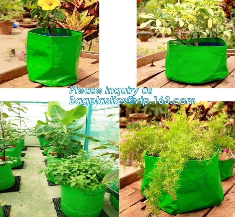 customized waterproof green pe car protector,environmental firendly, car boot liner, reusable, durable,economical,sample
