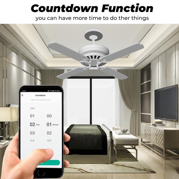 SMATRUL Tuya WiFi Smart Fan Speed Regulation DIY Mini Switch Module Remote Control Timer on Off 220V for Alexa Google Home