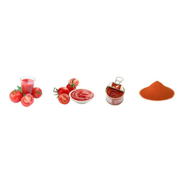 25T/H Tomato Ketchup Production Line Food Grade Aseptic Filling