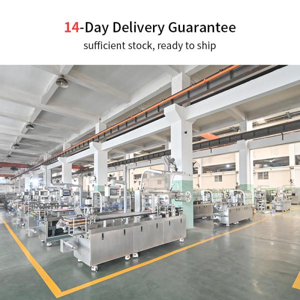 Al Pvc Tablet Capsule Automatic Pharmacy Blister Packing Machine