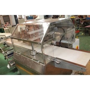 Pillow Bag Meat / Dumpling Frozen Food Packing Machine