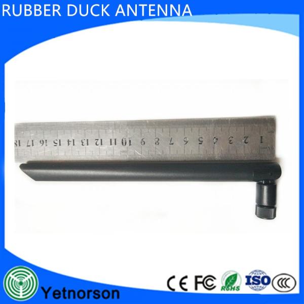 Customizable Connector Type 5dBi Long Range Outdoor WIFI Antenna for 2.4Ghz and 5.8Ghz