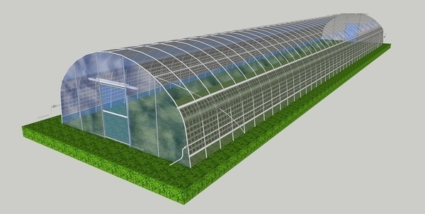 Anti Corrosion Plastic Film 10m Single Tunnel Greenhouse