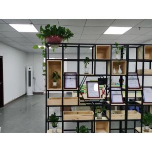 Shenzhen Pray-med Technology Co.,Ltd