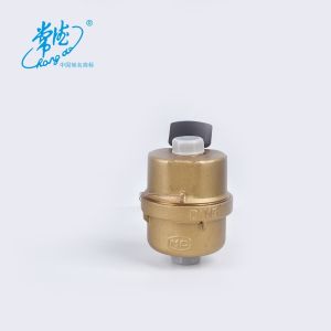 DN15 DN20 Volumetric Brass Cold Water Meter R160