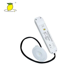 maintained emergency downlight AC 120 - 270V led rechargeable lights