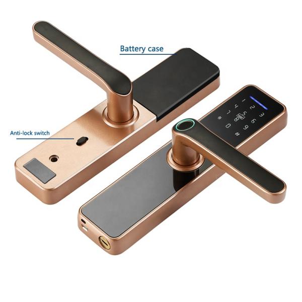 Rosh Ttlock Tuya App Smart Electronic Lock Wifi Password Lock