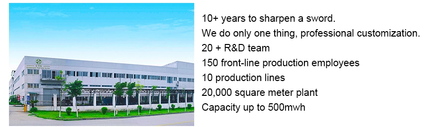 Rechargeable 48V 300ah Lithium Battery, 48V 300ah IP67 Li-ion LFP Battery Pack, 48V 300ah LiFePO4 Electric Tractor Battery