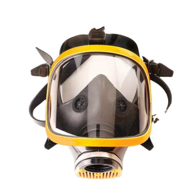 Full Face Respirator Gas Mask With Double Filters
