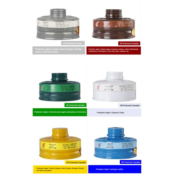 Full Face Respirator Gas Mask With Double Filters