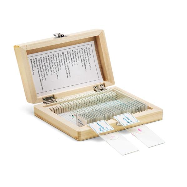 Professional 30pcs Human Tissue Microscope Slides For Medical Education