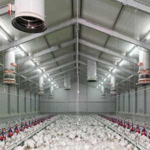 Buy cheap Fireproof Steel Poultry House with Automated Ventilation System product