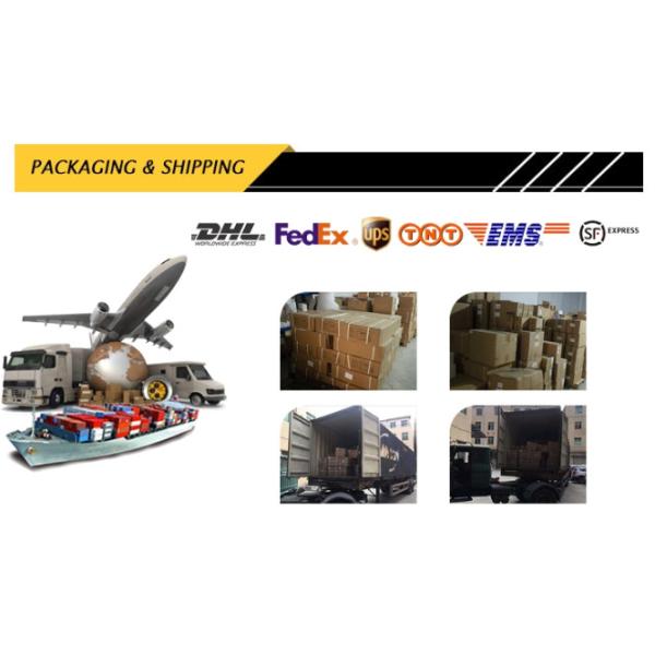 Excavator Isuzu EX120 4BD1 6BD1 8-94376-865-0 Engine Spare Parts 8-94376865-0 Water Pump