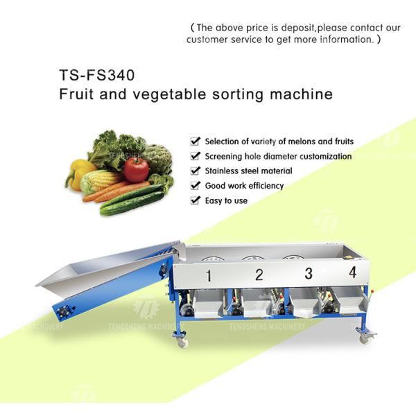 Automatic Cherry Tomato Fruit Sorter Machine Potato Sorting Grading Machine