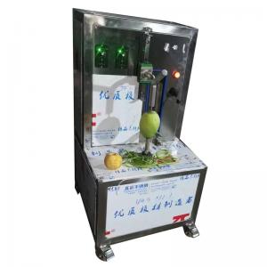 China Professional Price Fruit Washing Production Line Washing Drying Line Fruit And Vegetable Bubble Washer on sale