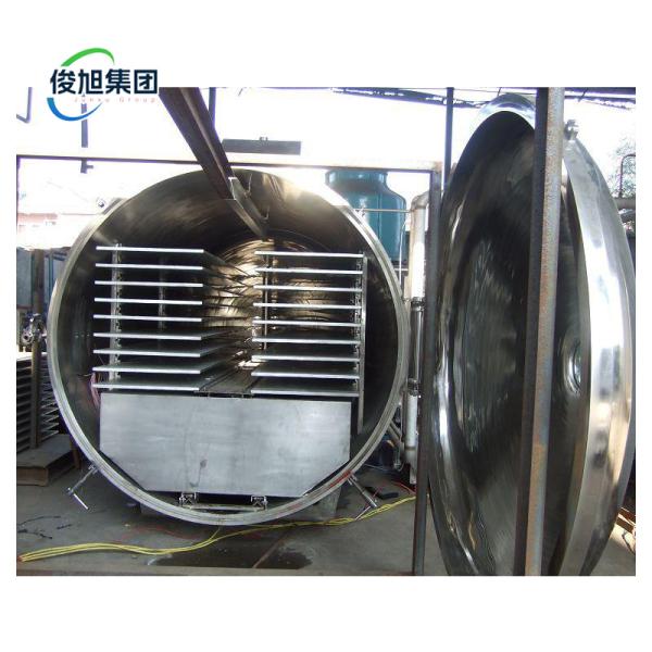 Drying process Continuous Automatic Drying Junxu Freeze Drying Equipment for Fruits