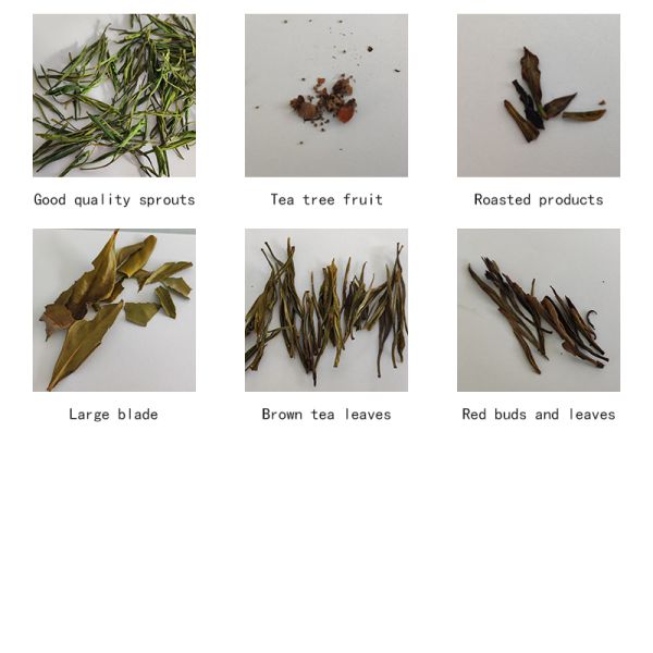 Intelligent Tea Color Sorting Machine, Suitable For Complex Materials, Ensuring Sorting Accuracy