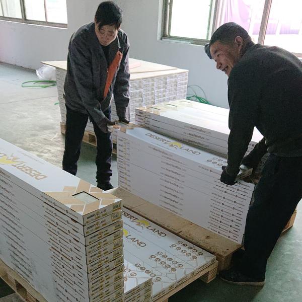 Luxury Vinyl Plank Flooring Modern Design Style 3.5mm-8mm Thickness SPC Interlocking