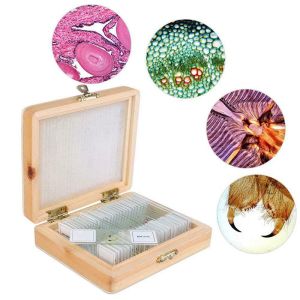 30Pcs Plant Animal Histology Prepared Microscope Slides
