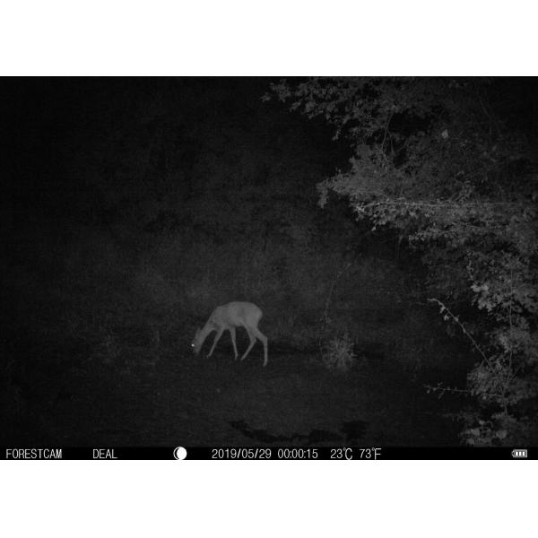 SMS Remote Control Wireless Hunting Trail Cameras Browning Wireless Trail Camera