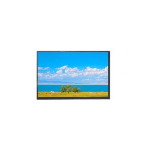Buy cheap 15.6'' 1920*1080 RGB Tianma All View OLED high contrast Lvds LCD Module product
