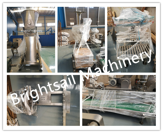 Vertical Powder Filling Packing Machine Coffee Cocoa Flour Bag Filler Customized Voltage