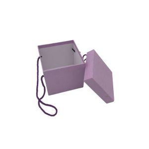 Elegant Paper Gift Packaging Box Exquisite Cotton Handle Recyclable Feature