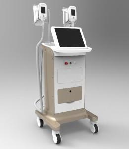 Buy cheap quick and amazing results Cryolipolysis Vacuum RF product