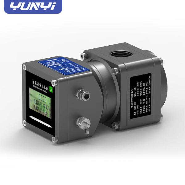 Intelligent Digital Gas Flow Meter with Hard Alloy Bearings and Precision-Processed Waist Wheel for and Smooth Performance