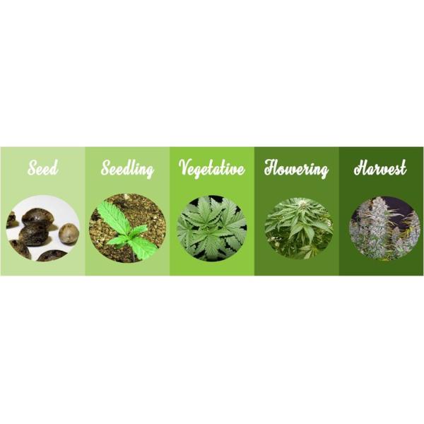 2.9umol/J 680W UV LED Grow Lights For Indoor Plants