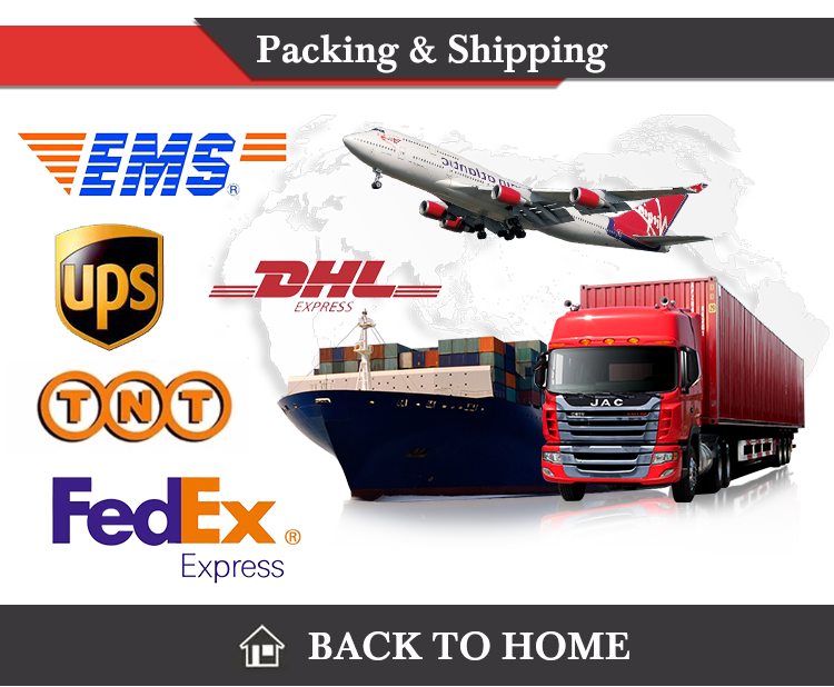 Zontop Modular Houses 20ft 40 Ft Extension Modern Beautiful Container Prefabricated House